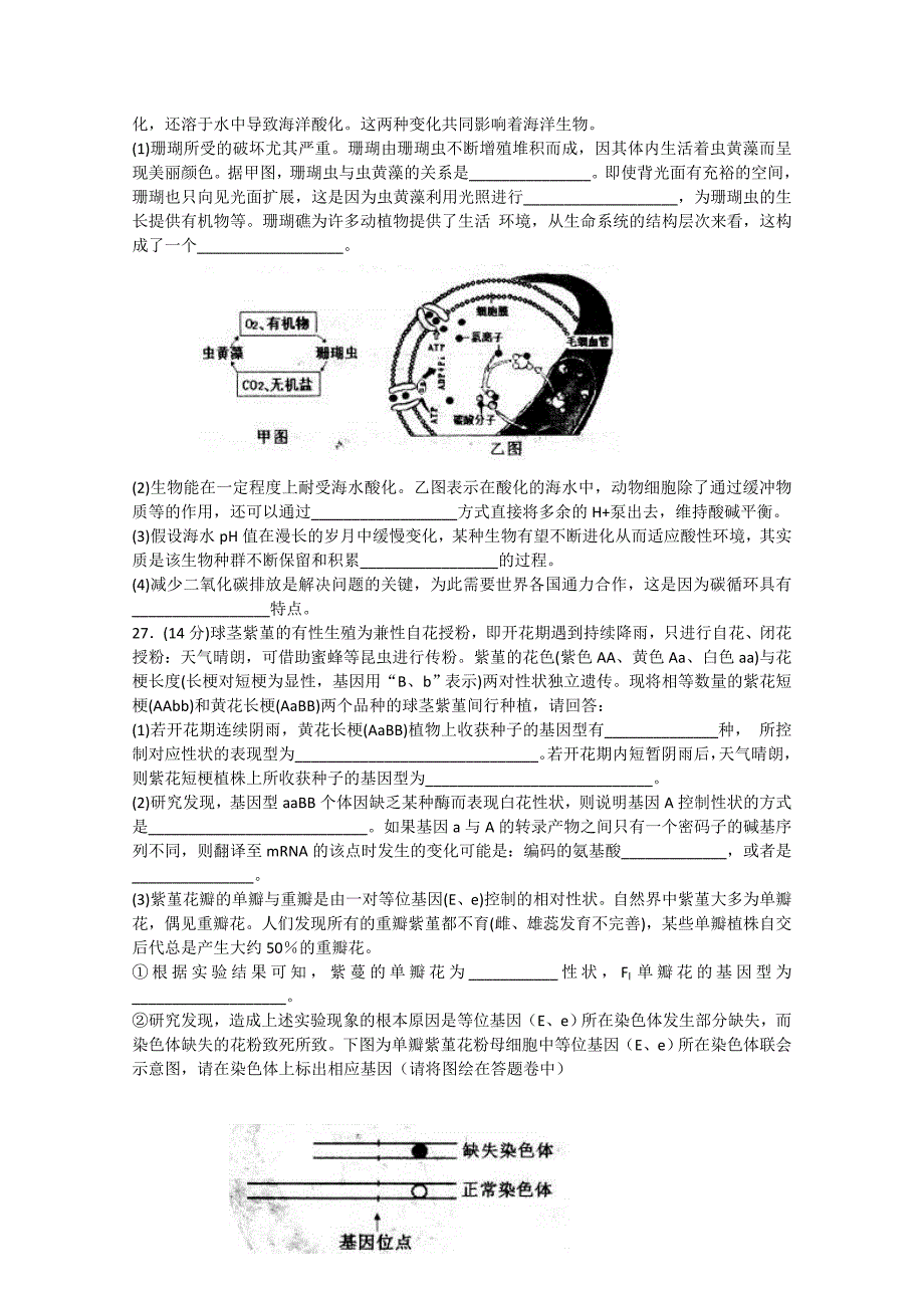 2020年高三5月第一次模拟考试理综生物含答案_第4页