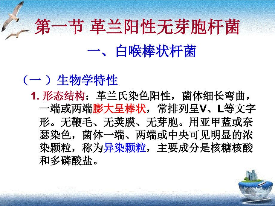 微生物革兰阳性需氧和兼性厌氧杆菌培训课件_第4页