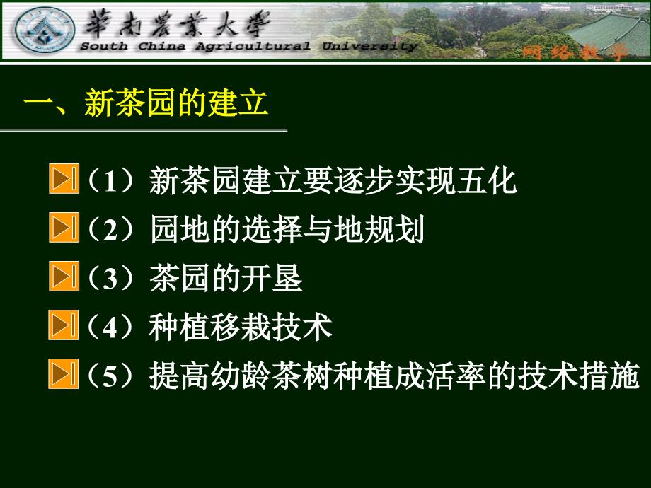 新茶园的建立与老茶园的改造_第4页