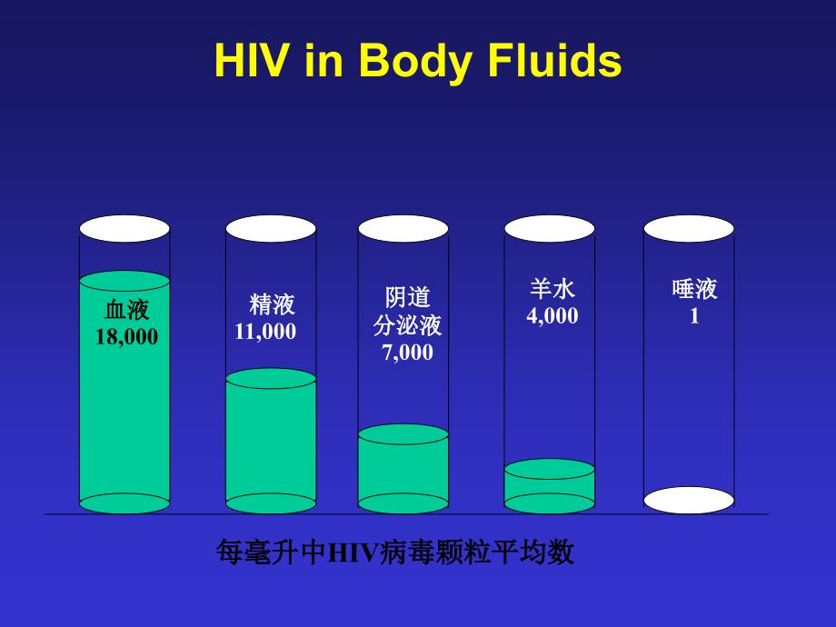 艾滋感染的临床分期与诊断_第4页