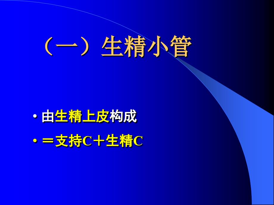 第一节精巢和卵巢_第4页