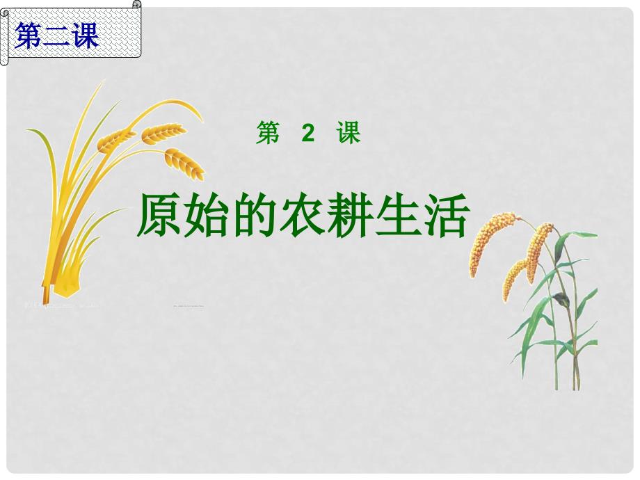 山东省肥城市石横镇初级中学七年级历史上册《原始的农耕生活》课件 新人教版_第2页