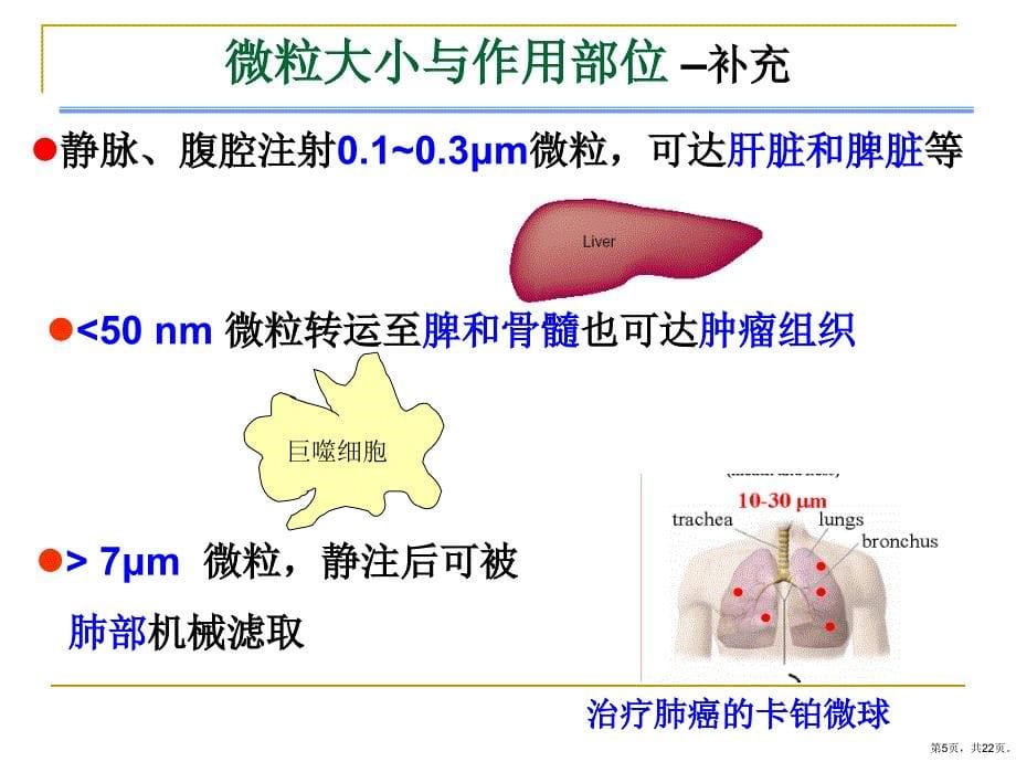 微粒分散体系医学教学课件_第5页