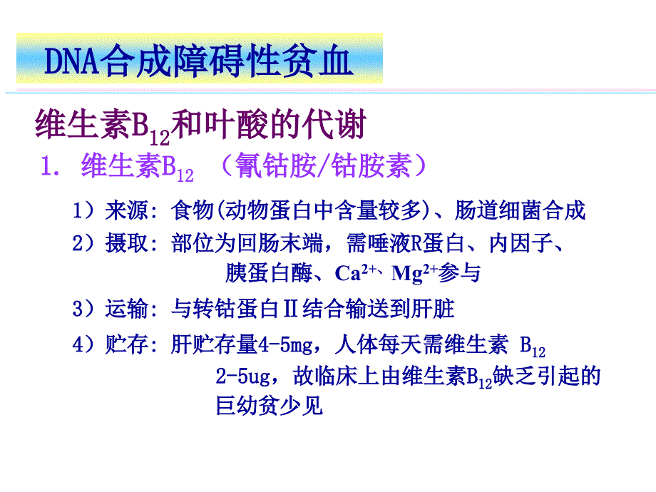 《巨幼贫再障》PPT课件.ppt_第3页