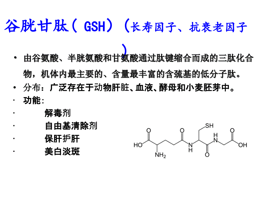 活性肽和蛋白质PPT课件_第2页