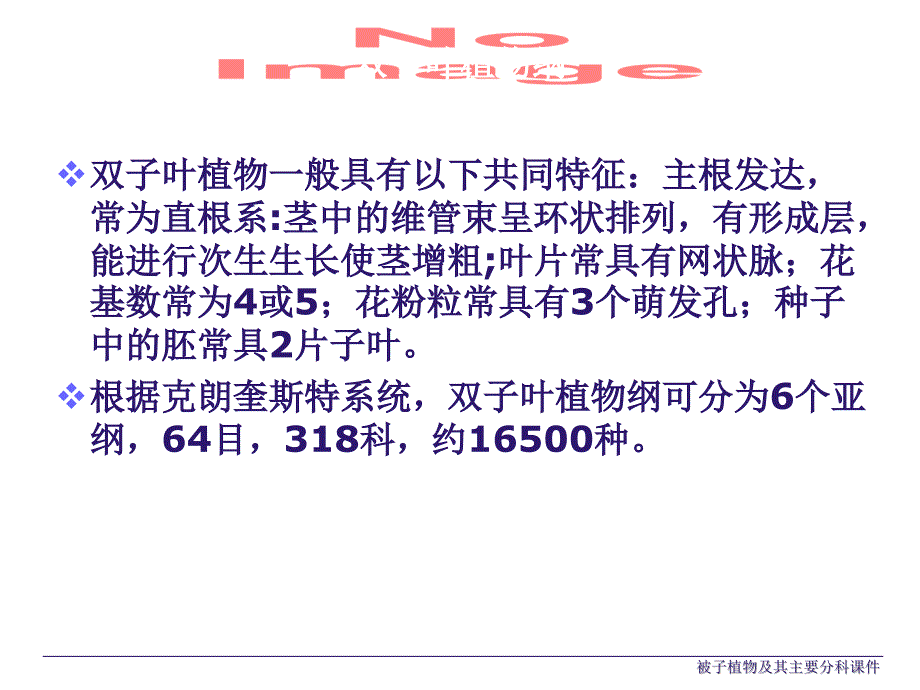 被子植物及其主要分科课件_第3页