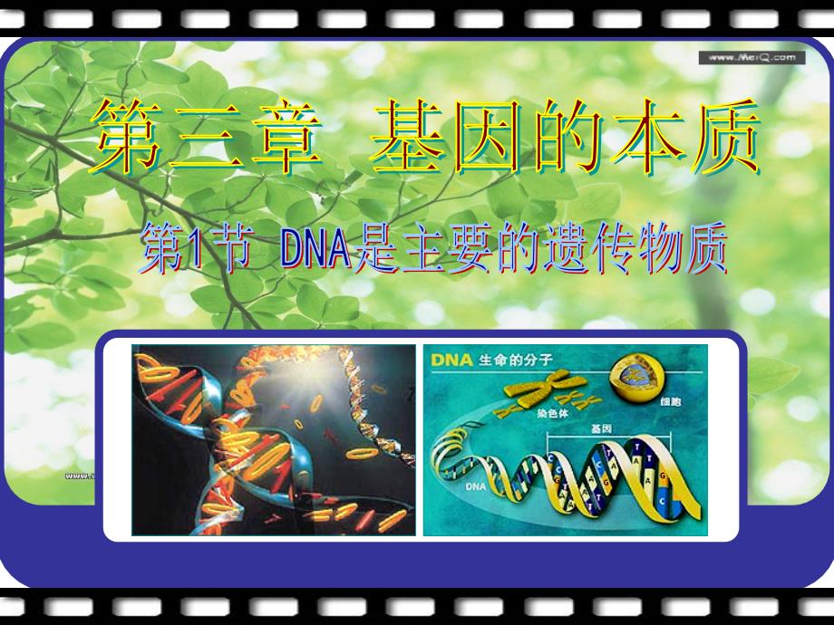 31DNA是主要的遗传物质12用_第1页