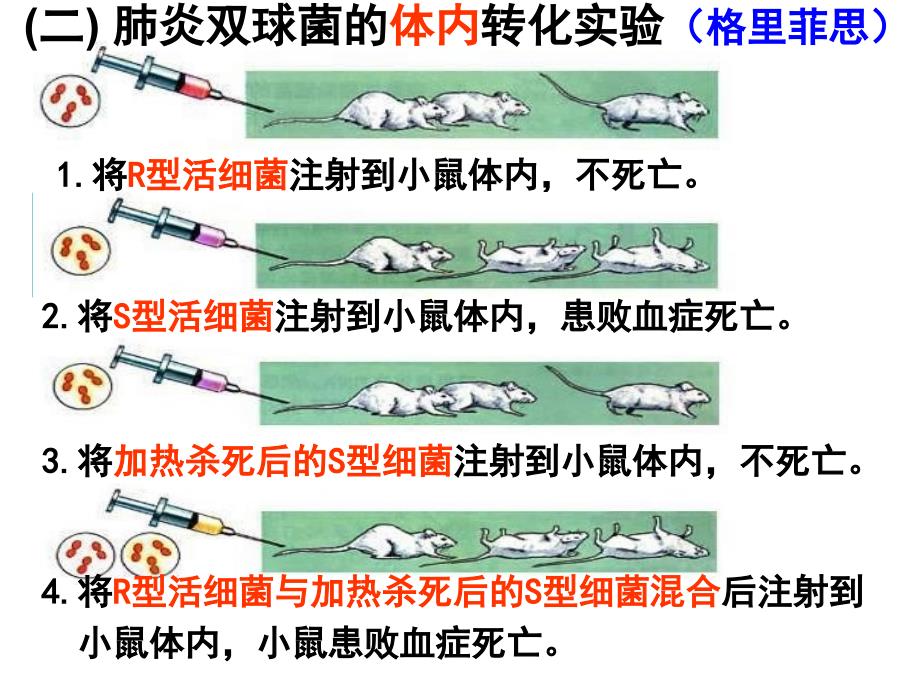 31DNA是主要的遗传物质12用_第3页