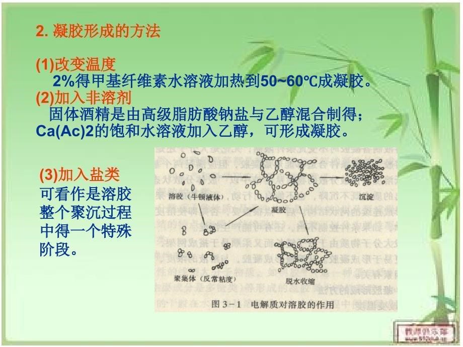 凝胶的性质及其作用ppt课件_第5页