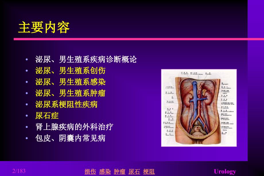 医学专题：泌尿外科专业知识-总汇-(超级有用)_第2页