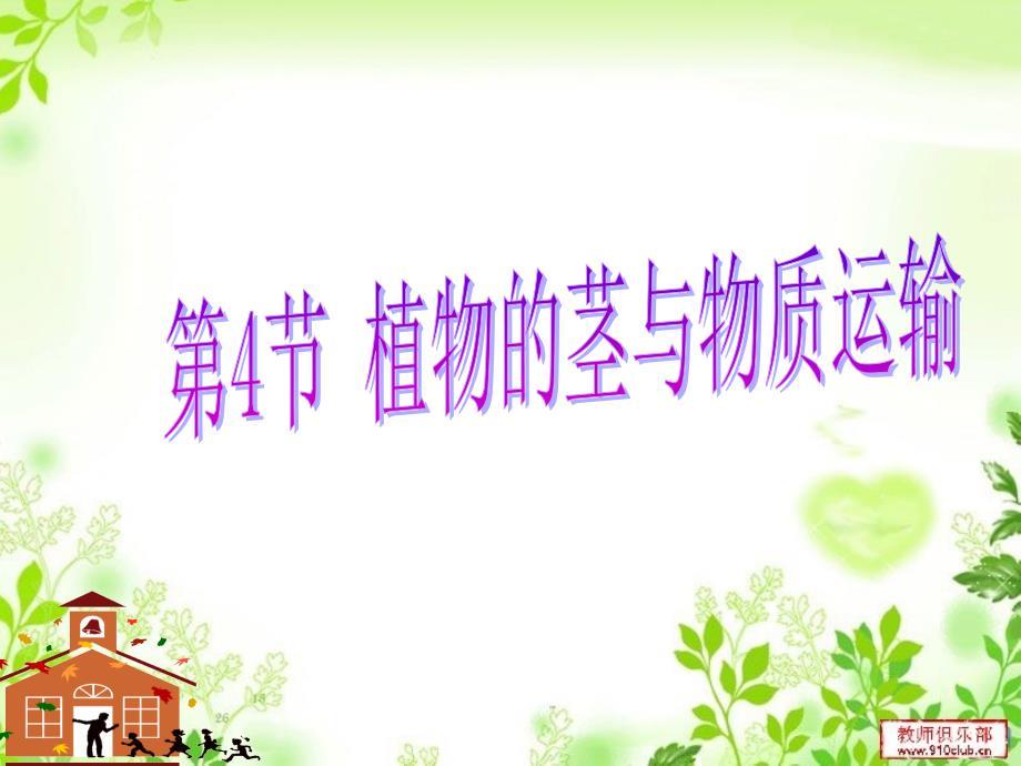 浙教版科学八下第4节_植物的茎与物质运输