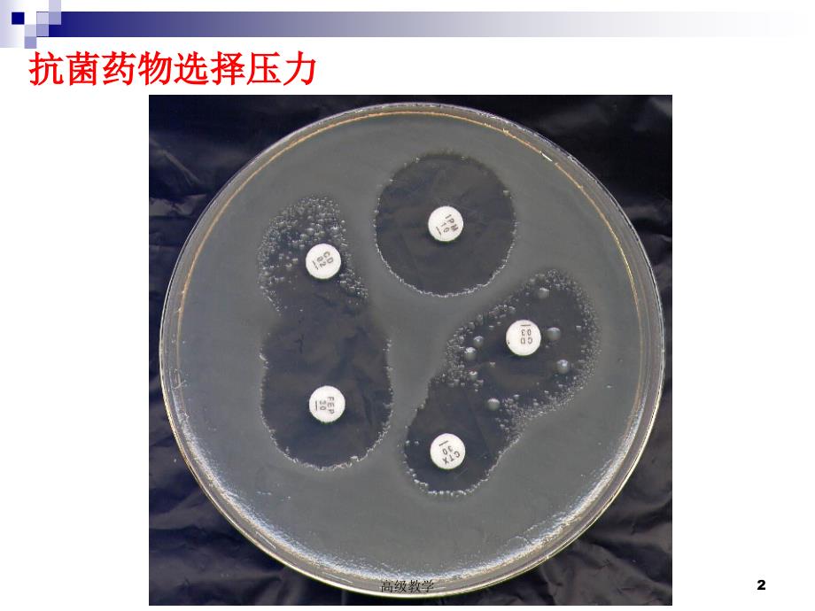 PKPD在合理使用抗生素中的意义【特制材料】_第2页