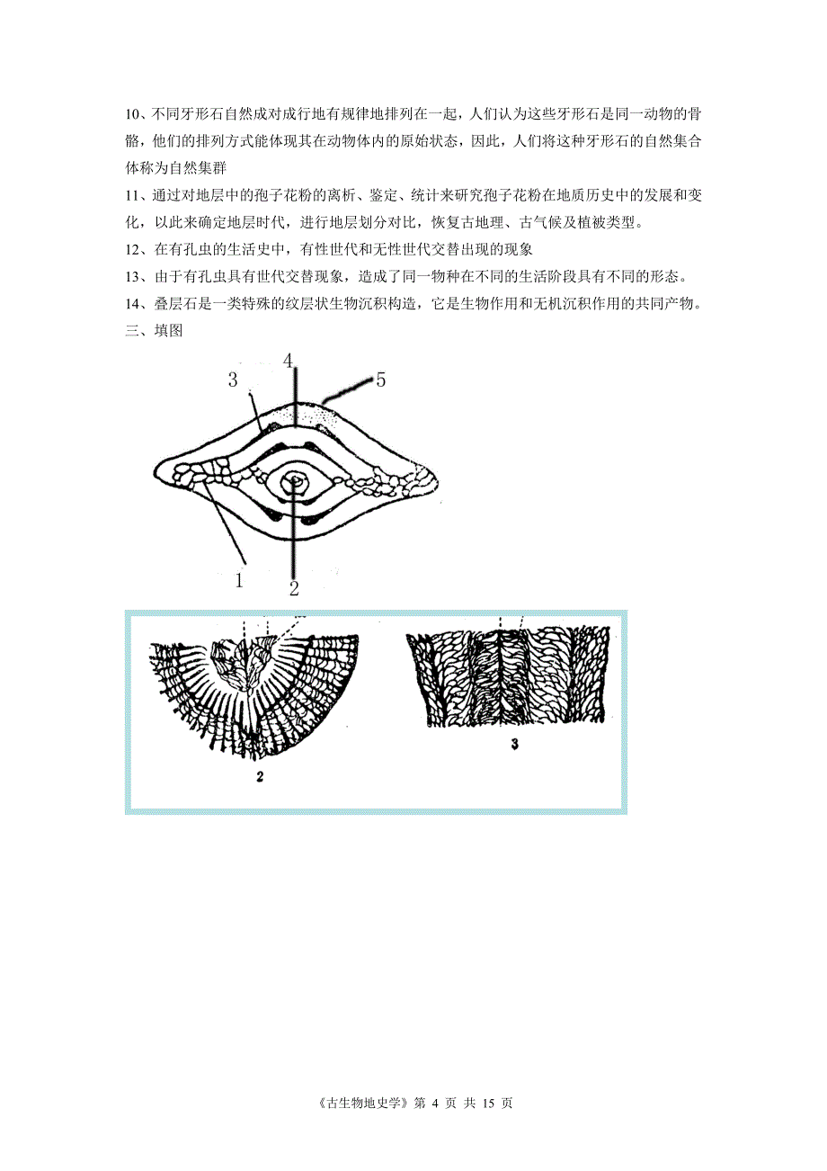 古生物地史学综合复习资料_第4页