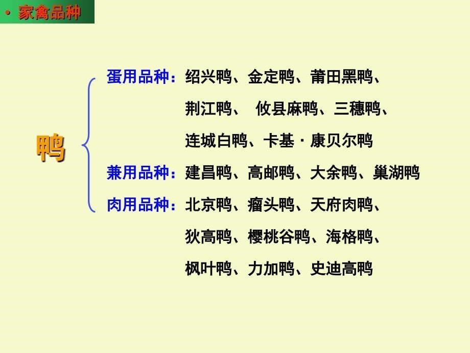 我国家禽遗传资源保护与利用_第5页