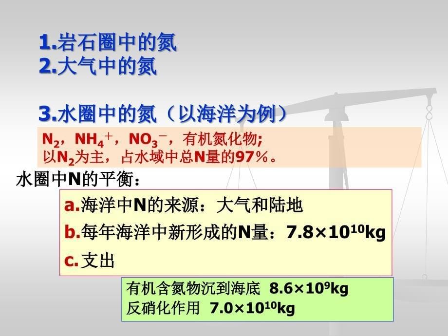 6氮素循环和有机氮矿化很好的_第5页