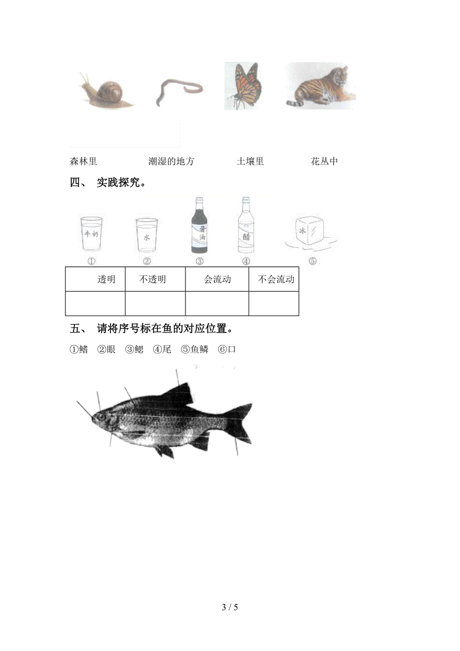 新人教版一年级科学上册期中考试卷及答案【精编】.doc_第3页