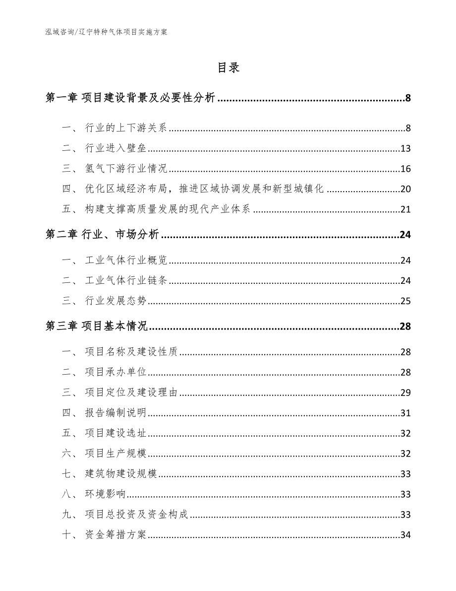 辽宁特种气体项目实施方案_范文模板_第2页