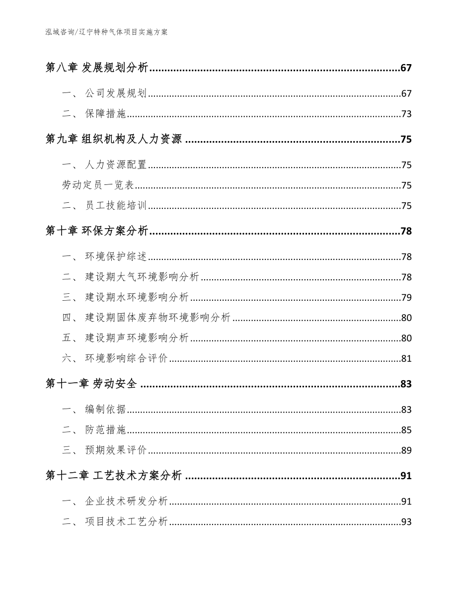 辽宁特种气体项目实施方案_范文模板_第4页