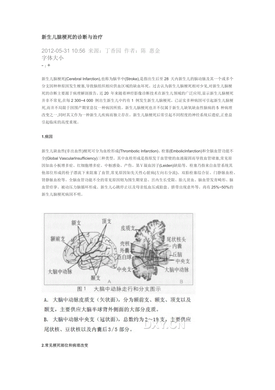 新生儿脑梗死的诊断与治疗_第1页