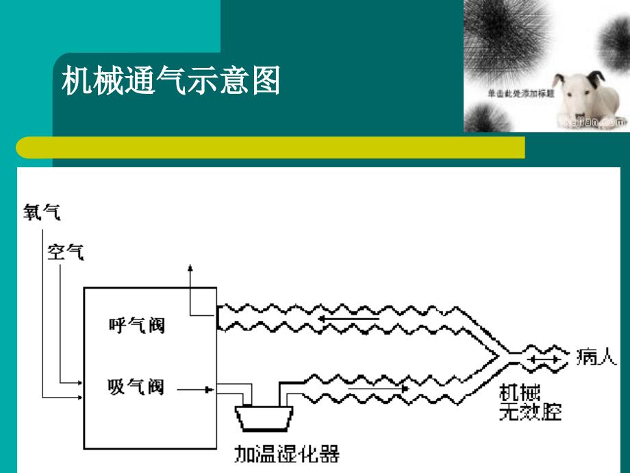 使用呼吸机基本方PPT课件_第4页