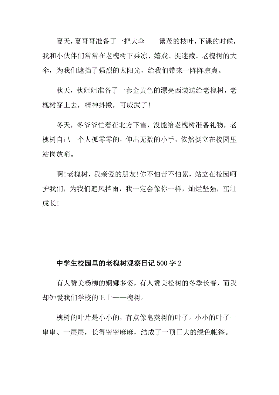 中学生校园的槐树观察500字日记范文_第2页