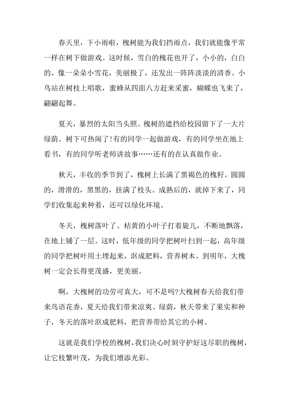 中学生校园的槐树观察500字日记范文_第3页