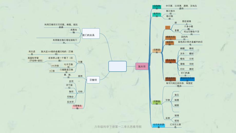 六年级科学下册第一二单元思维导图课件_第1页