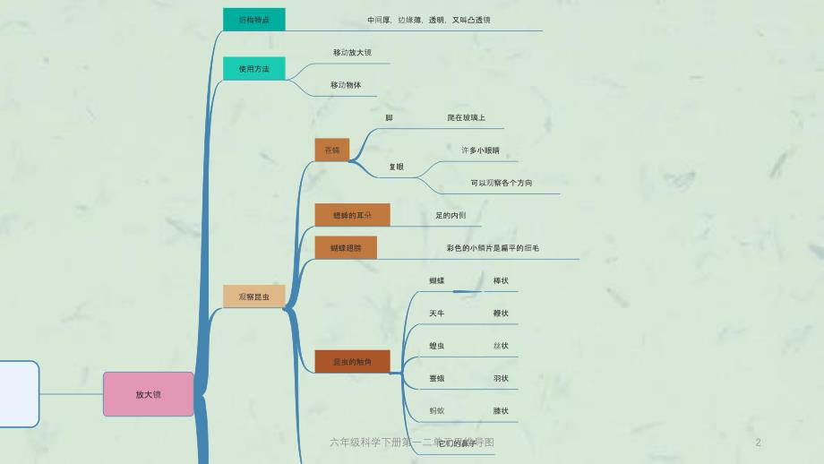 六年级科学下册第一二单元思维导图课件_第2页