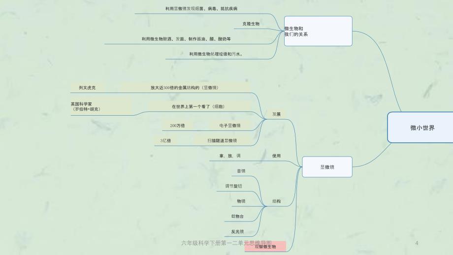 六年级科学下册第一二单元思维导图课件_第4页