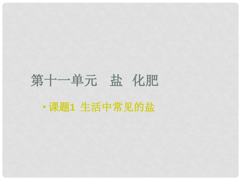 广东省中山市花城中学九年级化学下册 第十一单元 课题1 第一讲 常见的盐课件 新人教版_第1页