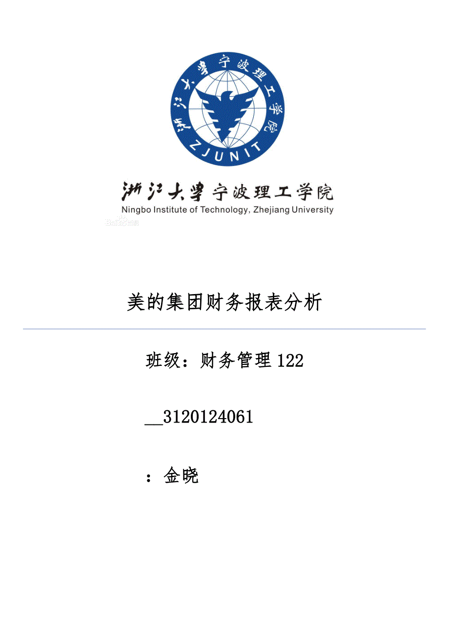 某集团财务报表分析报告_第1页