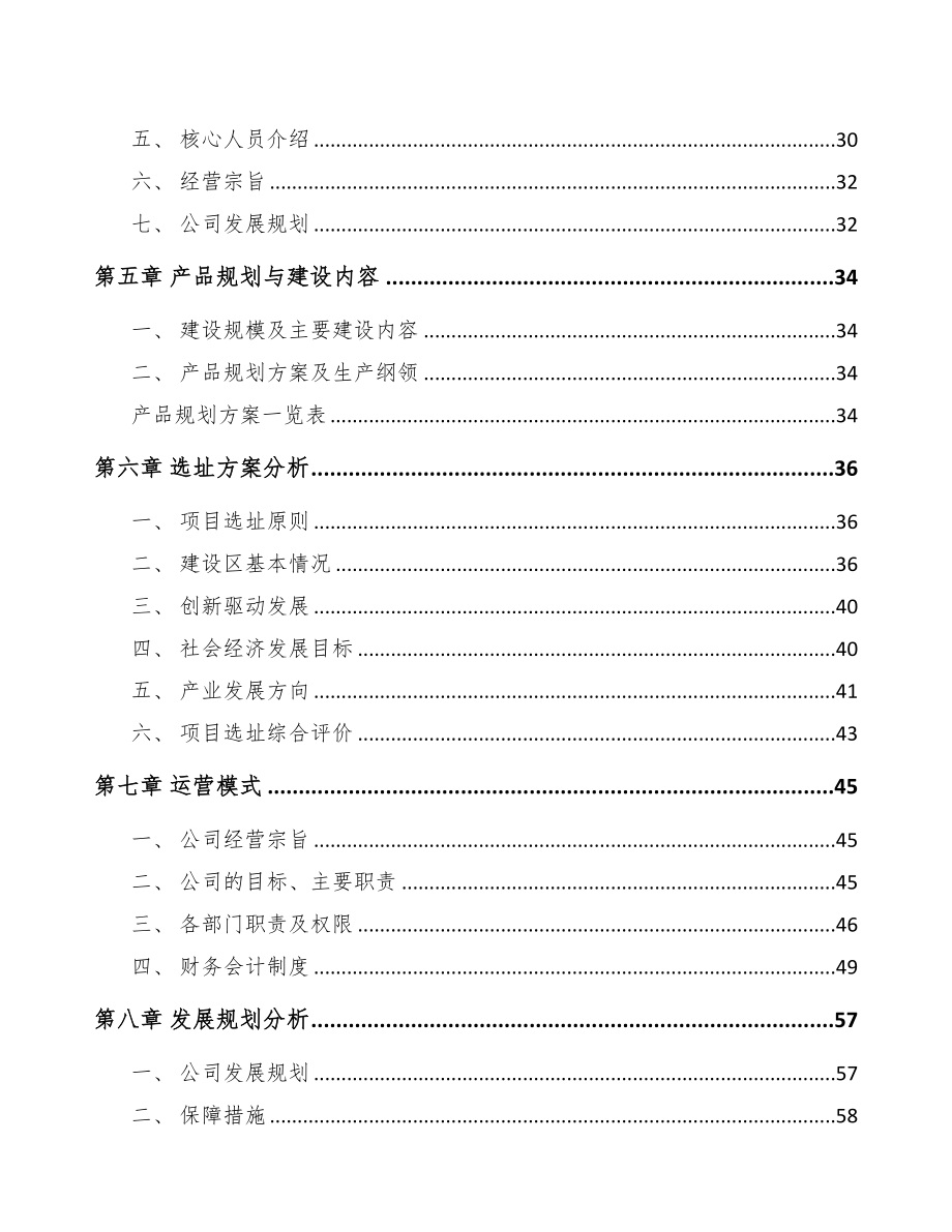 四川汽车灯具项目研究报告(DOC 94页)_第2页