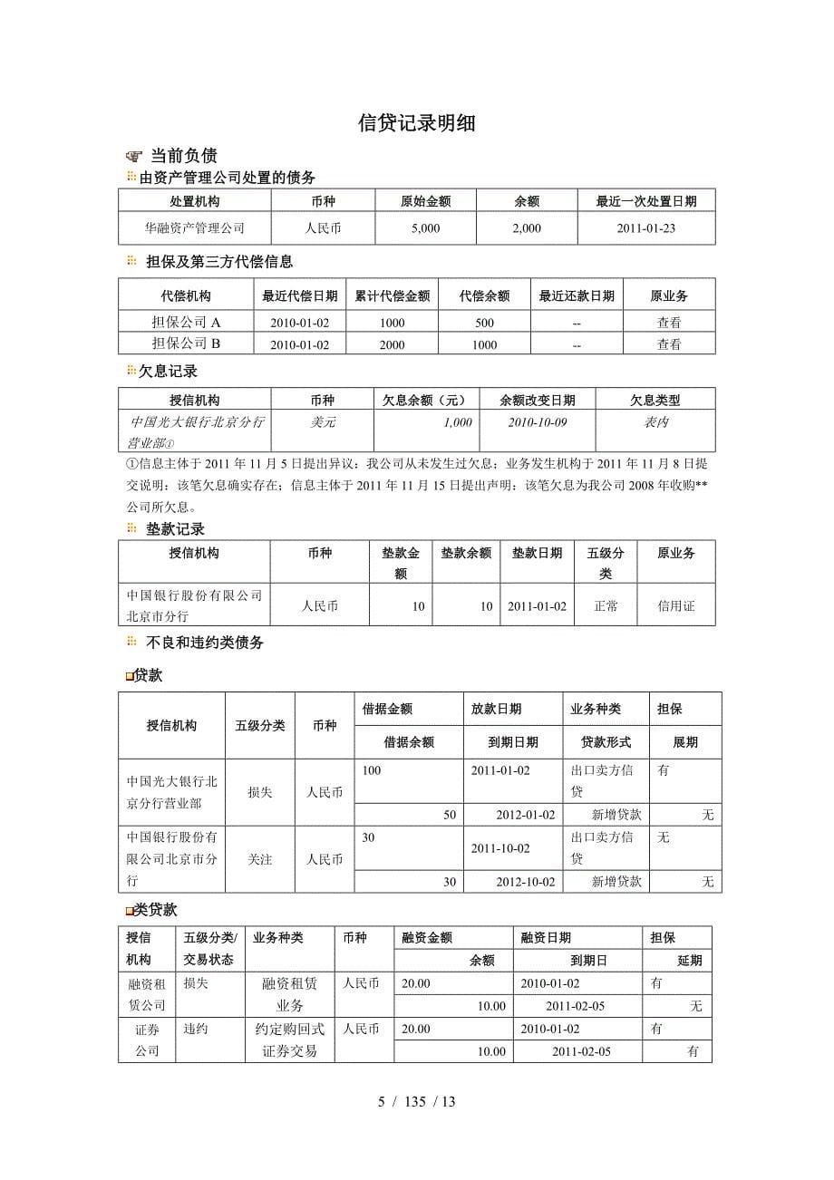 信用报告模板_第5页