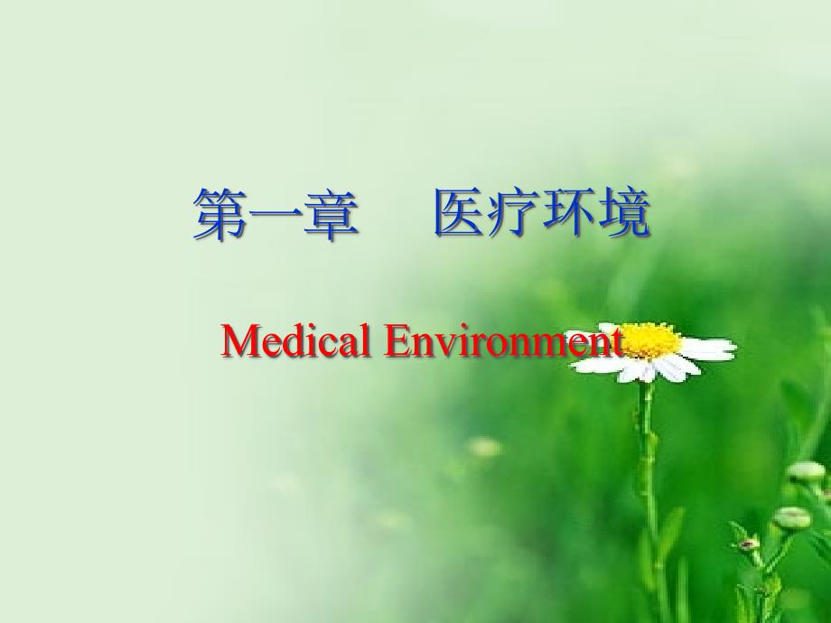 第一章医疗环境MedicalEnvironment_第1页