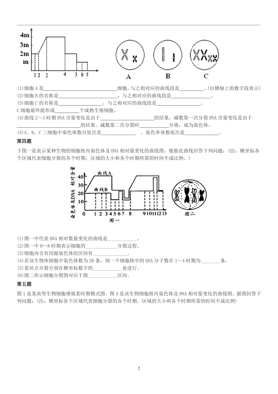 有丝分裂减数分裂曲线图(含答案)_第2页