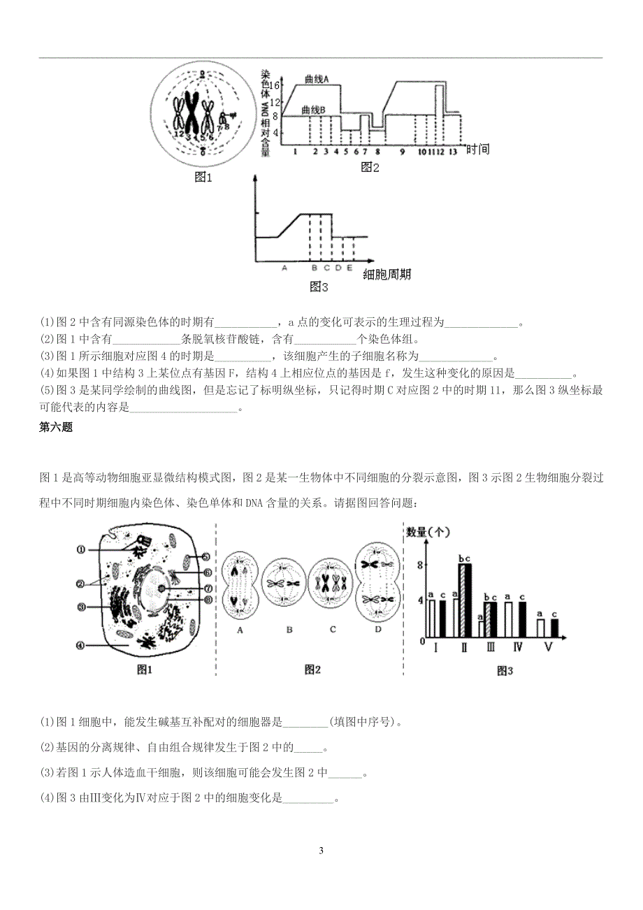 有丝分裂减数分裂曲线图(含答案)_第3页