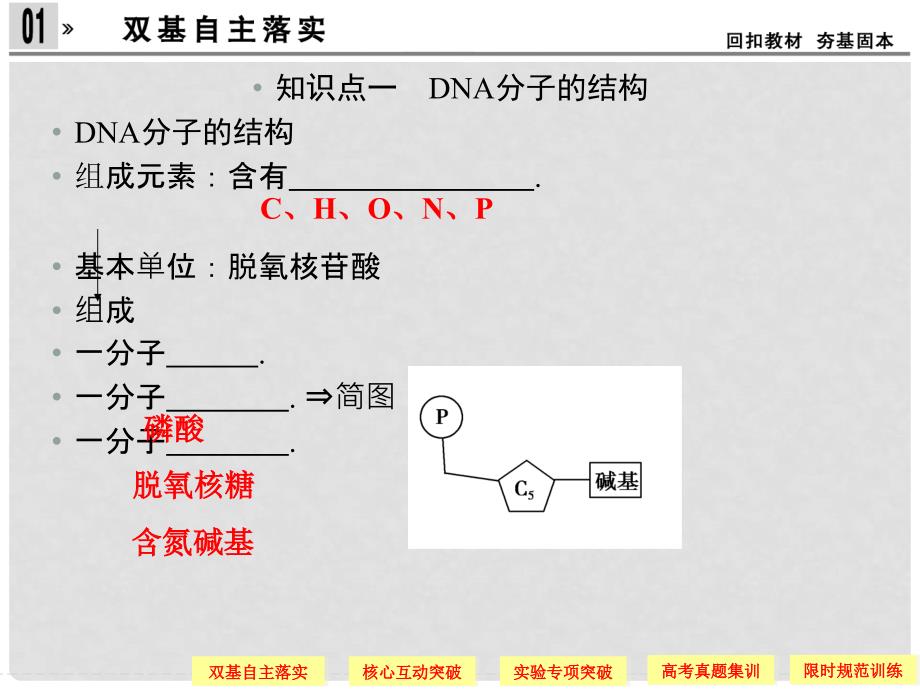 湖北省高考生物总复习 226DNA分子的结构和复制配套课件 中图版必修2_第3页