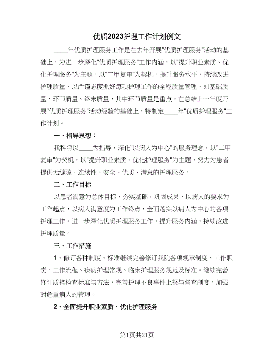 优质2023护理工作计划例文（五篇）.doc_第1页