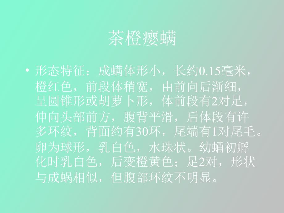 螨虫的分类及防治方法_第3页