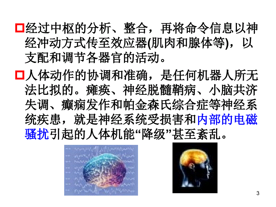 电磁兼容生物效应.ppt_第3页