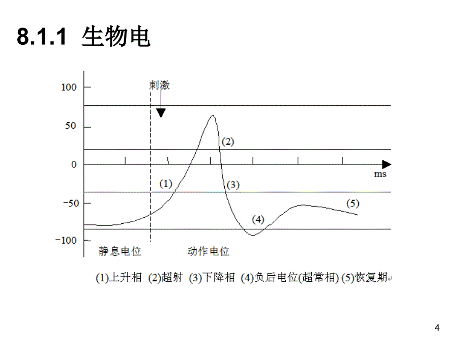 电磁兼容生物效应.ppt_第4页