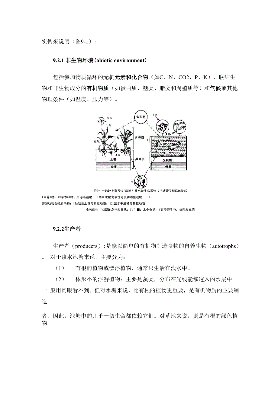 生态系统的一般特征_第4页