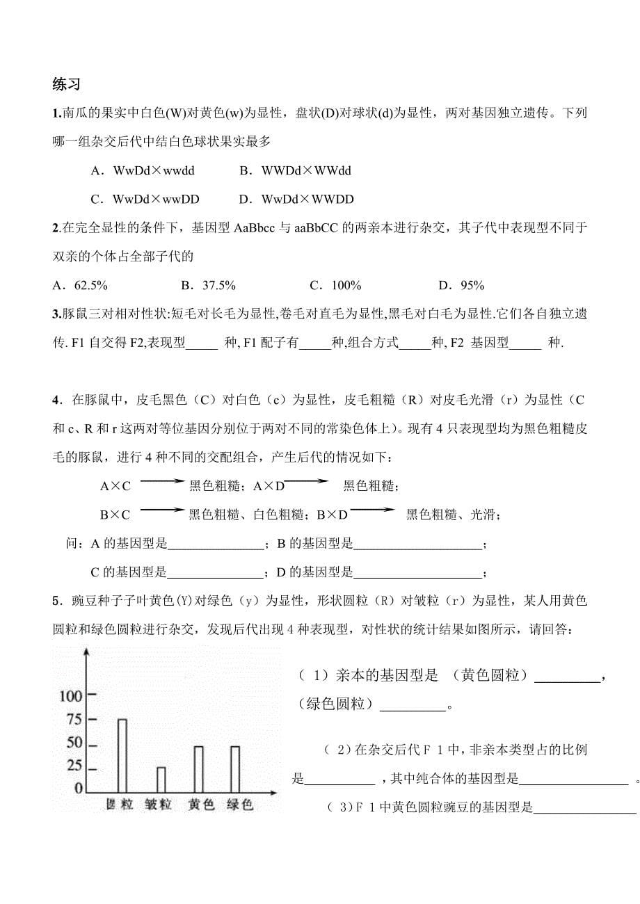 自由组合定律的实质与应用.doc_第5页