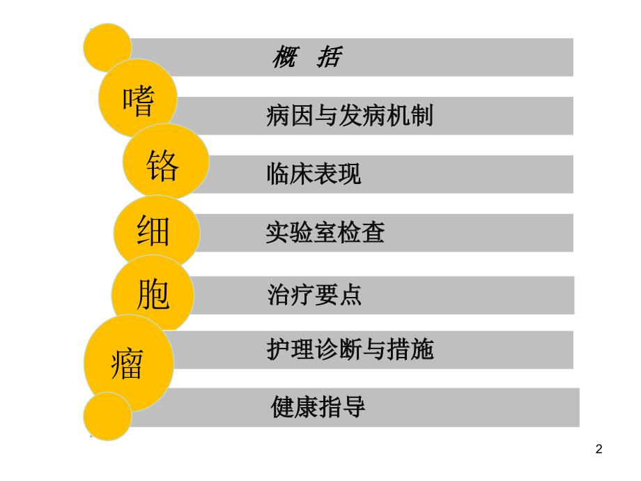 嗜锘细胞瘤治疗ppt课件_第2页