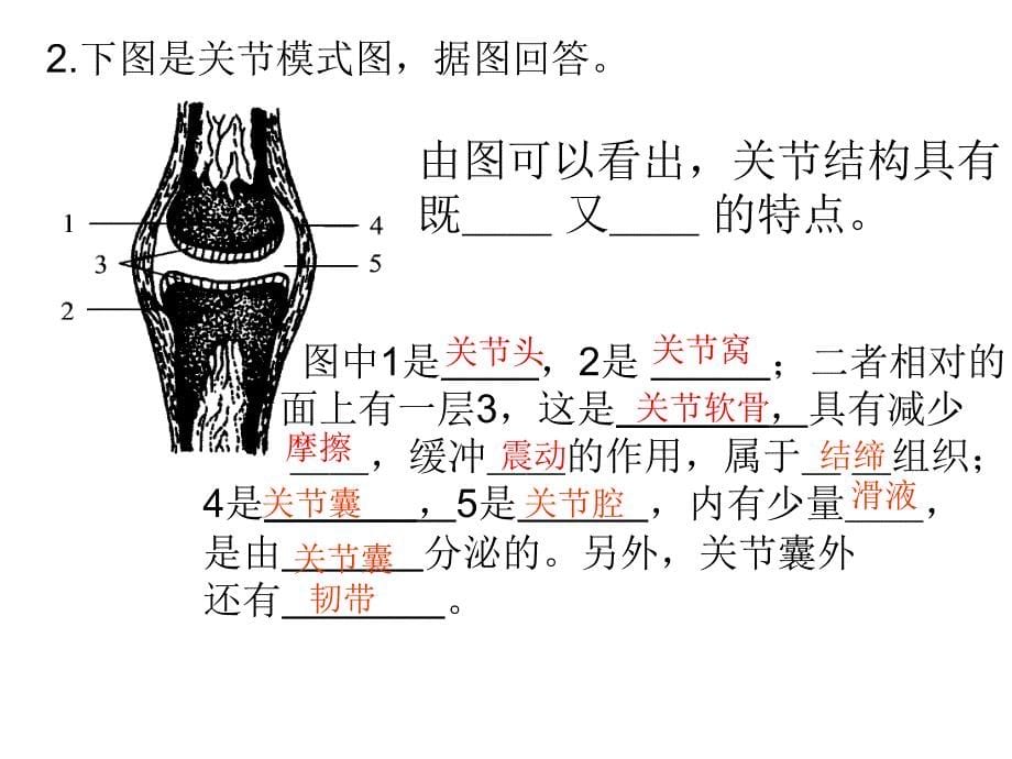 一二节病毒细菌_第5页