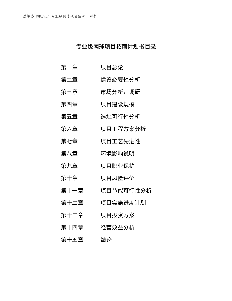 专业级网球项目招商计划书.docx_第3页