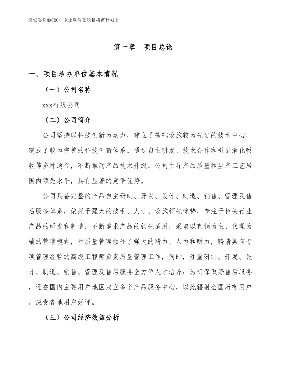 专业级网球项目招商计划书.docx_第4页