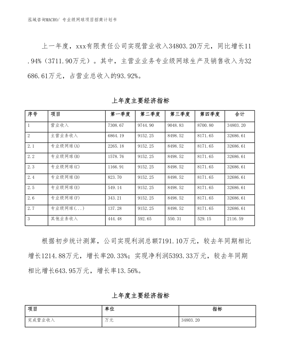 专业级网球项目招商计划书.docx_第5页