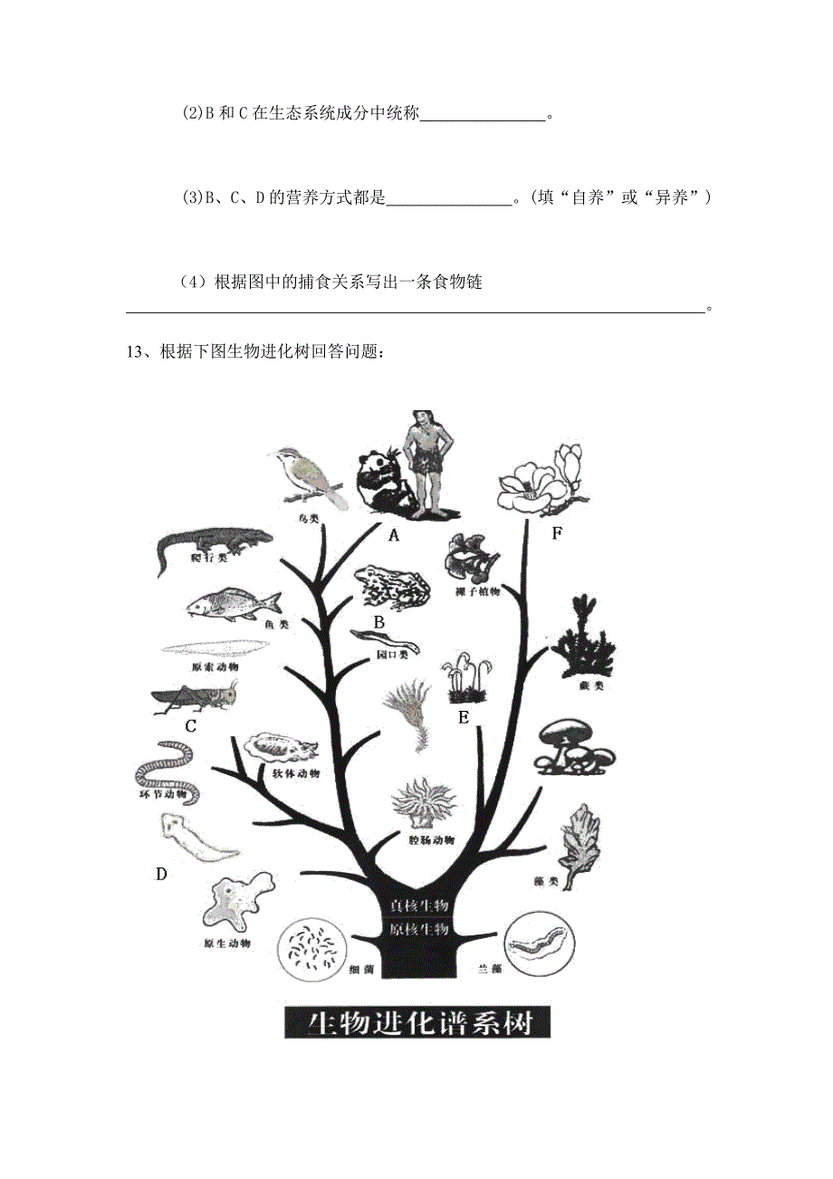 八年级生物测试题.doc_第3页