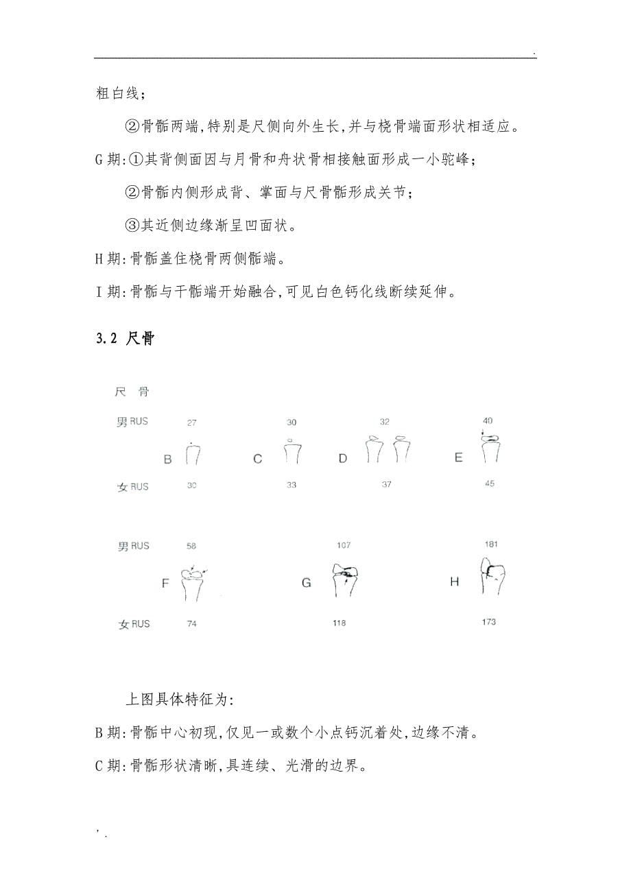 TW3骨龄评分法解释_第5页